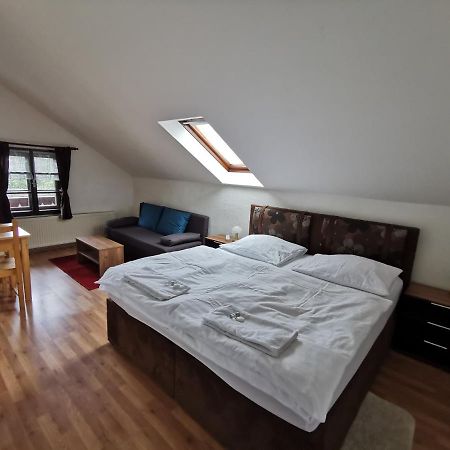 Pension U Jelinka Nove Hamry Exterior photo