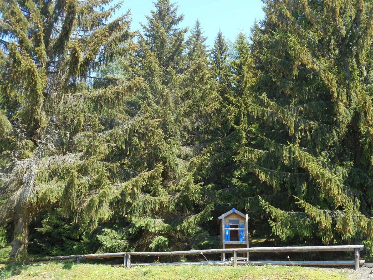 Pension U Jelinka Nove Hamry Exterior photo