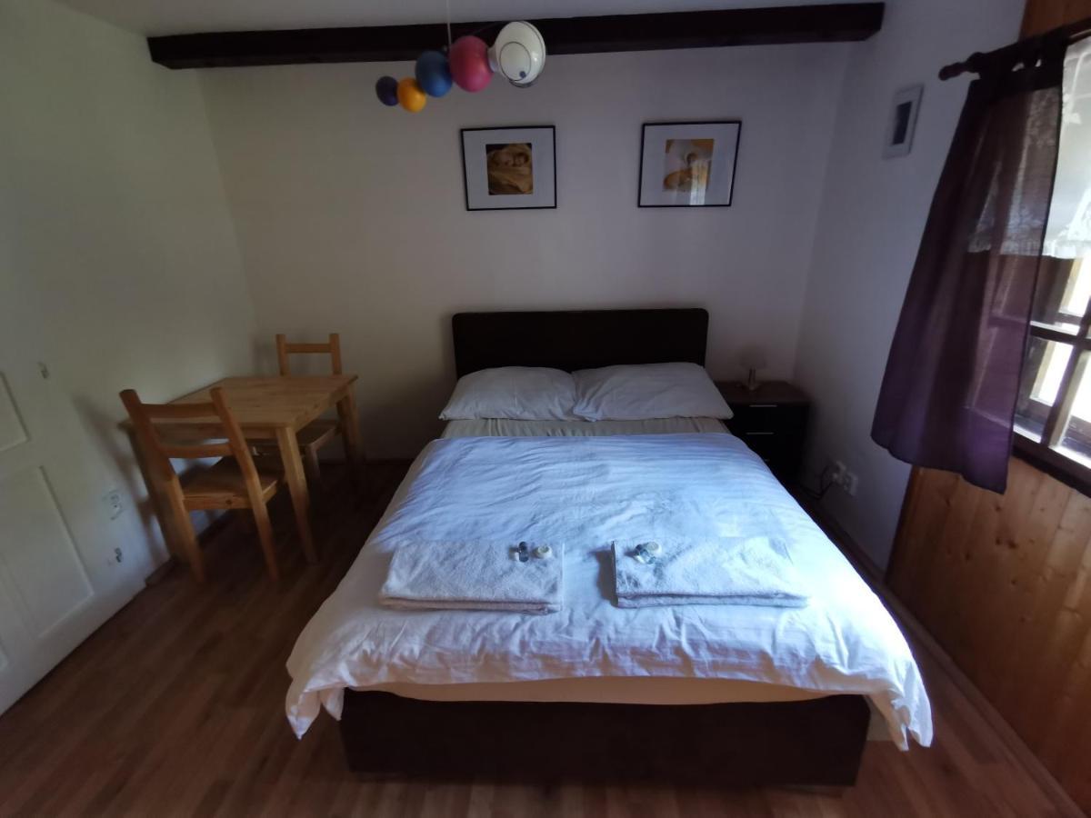 Pension U Jelinka Nove Hamry Exterior photo