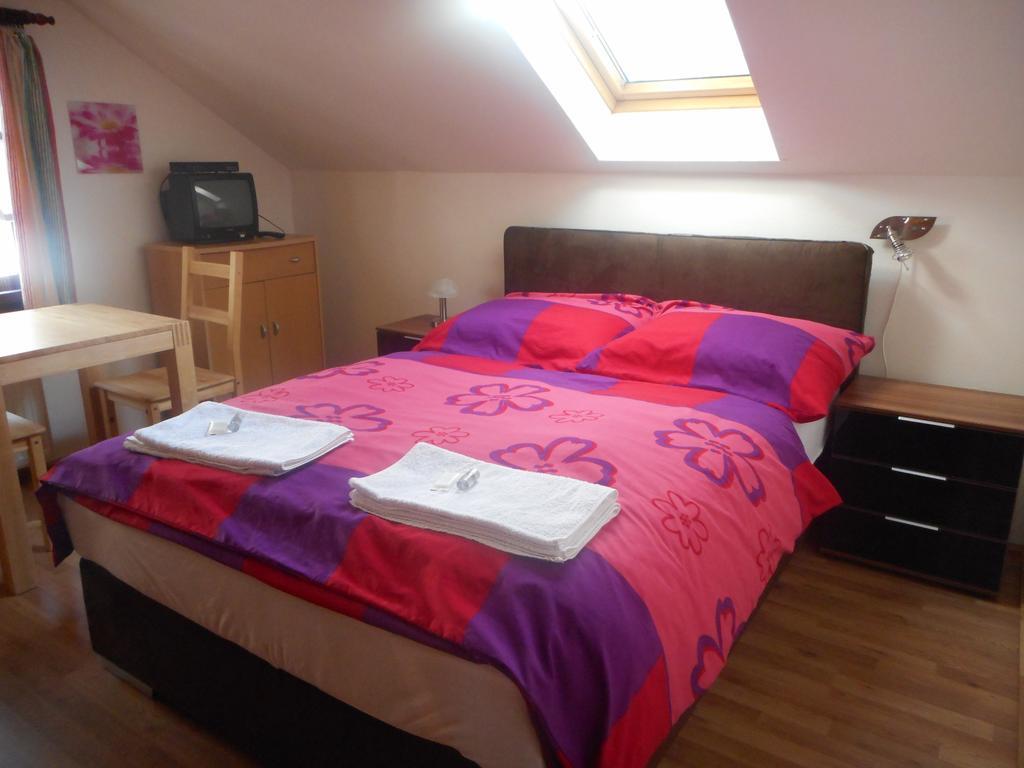 Pension U Jelinka Nove Hamry Room photo