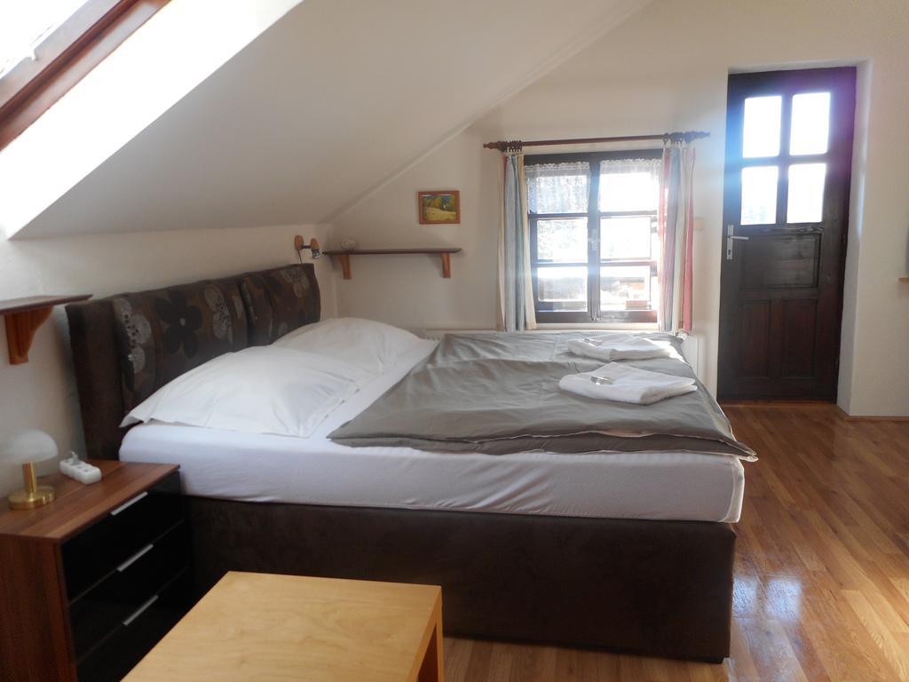 Pension U Jelinka Nove Hamry Room photo