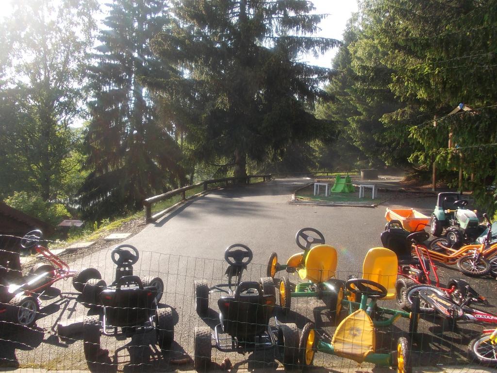 Pension U Jelinka Nove Hamry Exterior photo